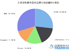 健身器材行业现状
