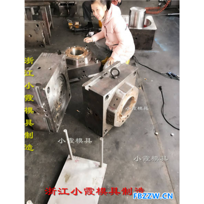 黄岩注塑模具订制16LPP桶模具设计加工