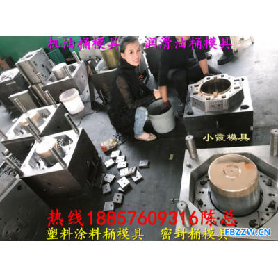 台州注塑模具制造台州塑胶模具 6L密封桶模具设计制造