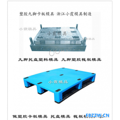 黄岩塑料模具订做双层注塑托盘模具设计加工垃圾桶模具2019