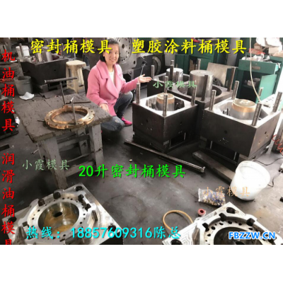 台州注塑模具定做塑胶润滑油桶模具设计加工垃圾桶模具2019