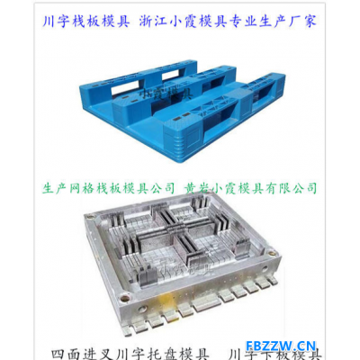 黄岩注射模具定做双层注塑托板模具加工制造垃圾桶模具2019