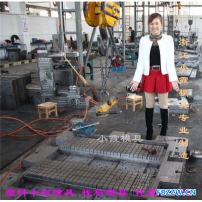 台州注塑模具供应双面网格卡板模具生产制造垃圾桶模具2019