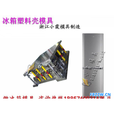 浙江专做注射模具厂 立式冰柜模具 冷冻柜模具 电冰箱模具 节能冰箱模具工厂地址