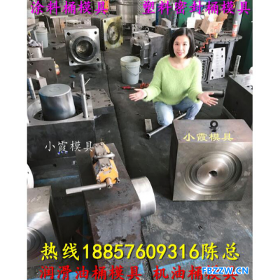 台州塑胶模具制造台州塑胶模具 6L食品桶模具厂