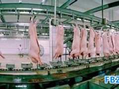 H7N9禽流感再引消费者恐慌 引进畜禽屠宰设备预防禽流感病毒传播