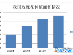 玫瑰花行业技术特点