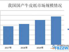 牛皮纸行业现状